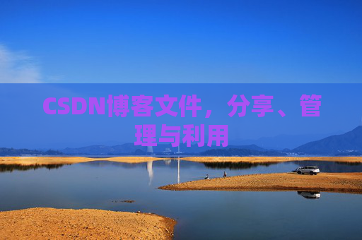 CSDN博客文件，分享、管理与利用